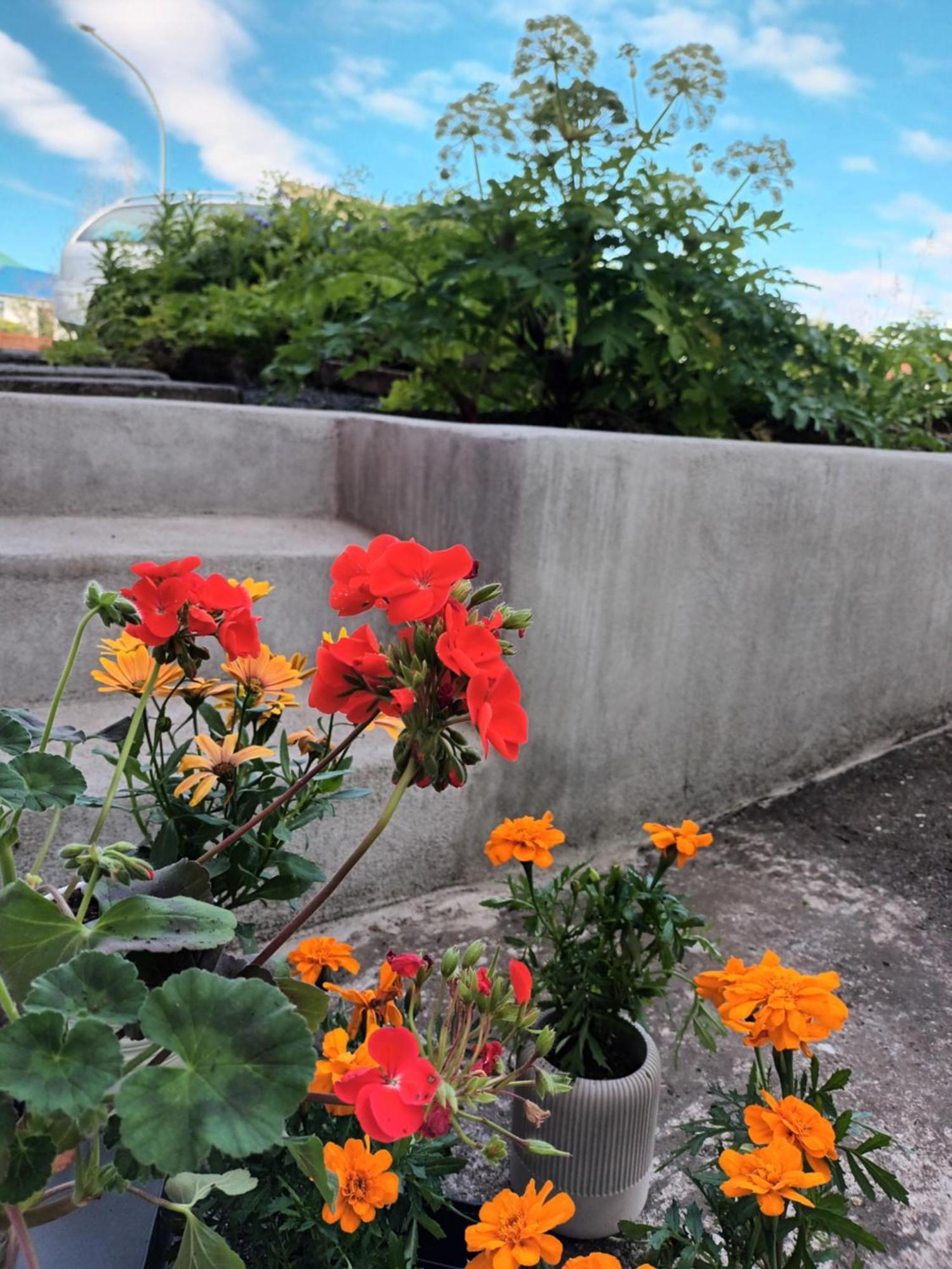 Lara Studio In Laugardalur Valley, Reykjavik Central Park And Botanical Garden, Private Entrance, Free Private Parking On Side Екстериор снимка