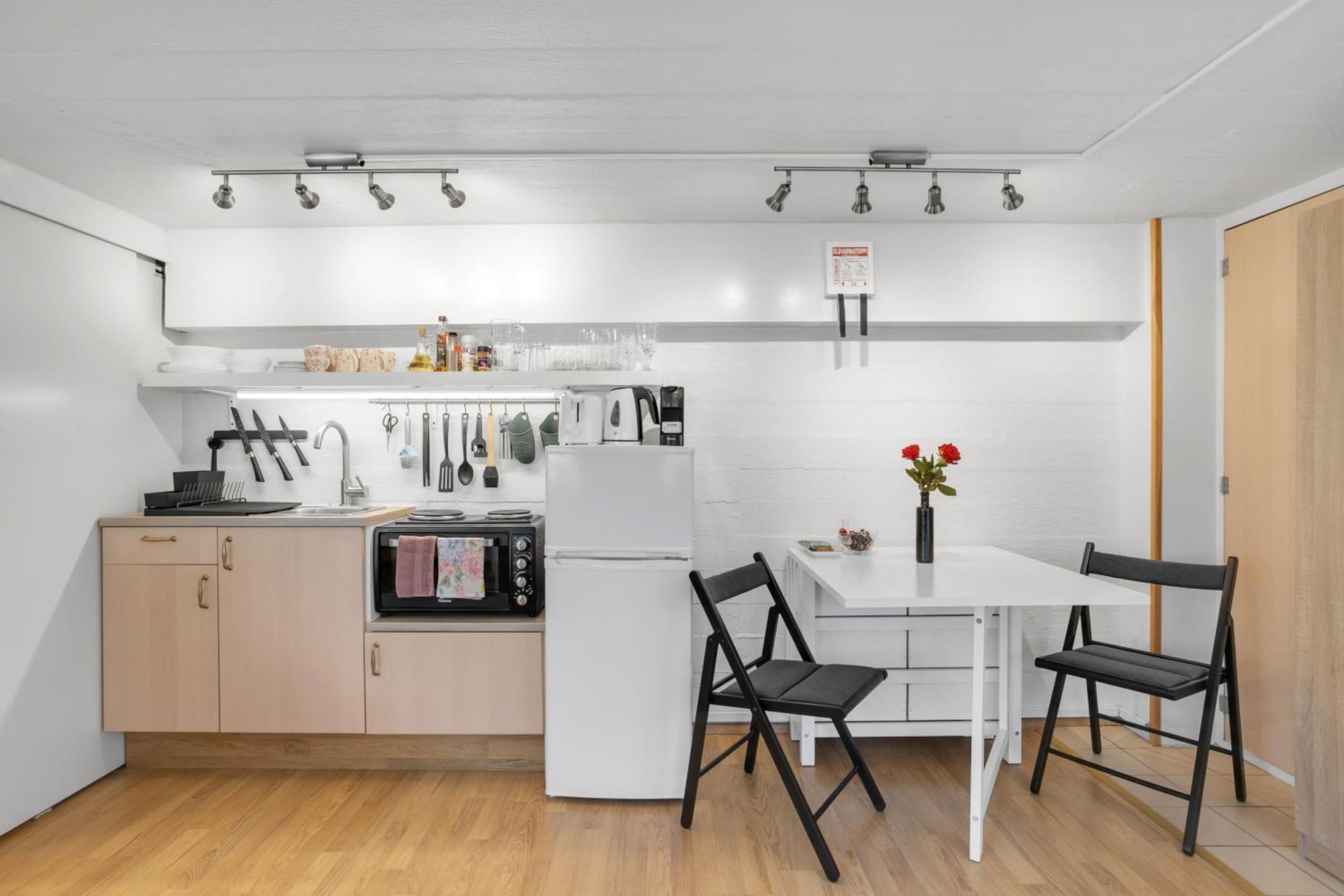Lara Studio In Laugardalur Valley, Reykjavik Central Park And Botanical Garden, Private Entrance, Free Private Parking On Side Екстериор снимка